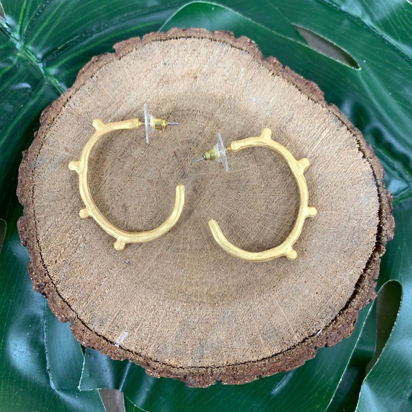 Hoops Matte Gold Earrings