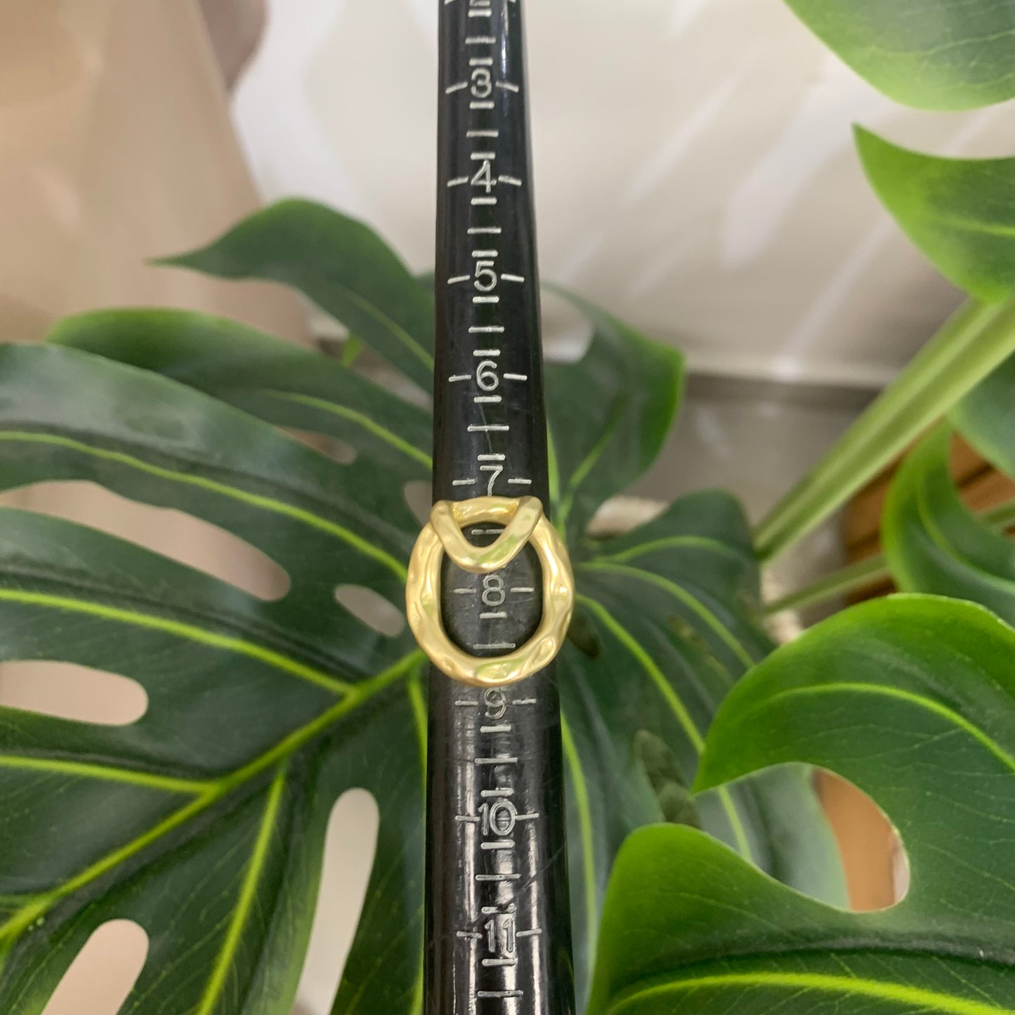 Medium Circle Gold Ring