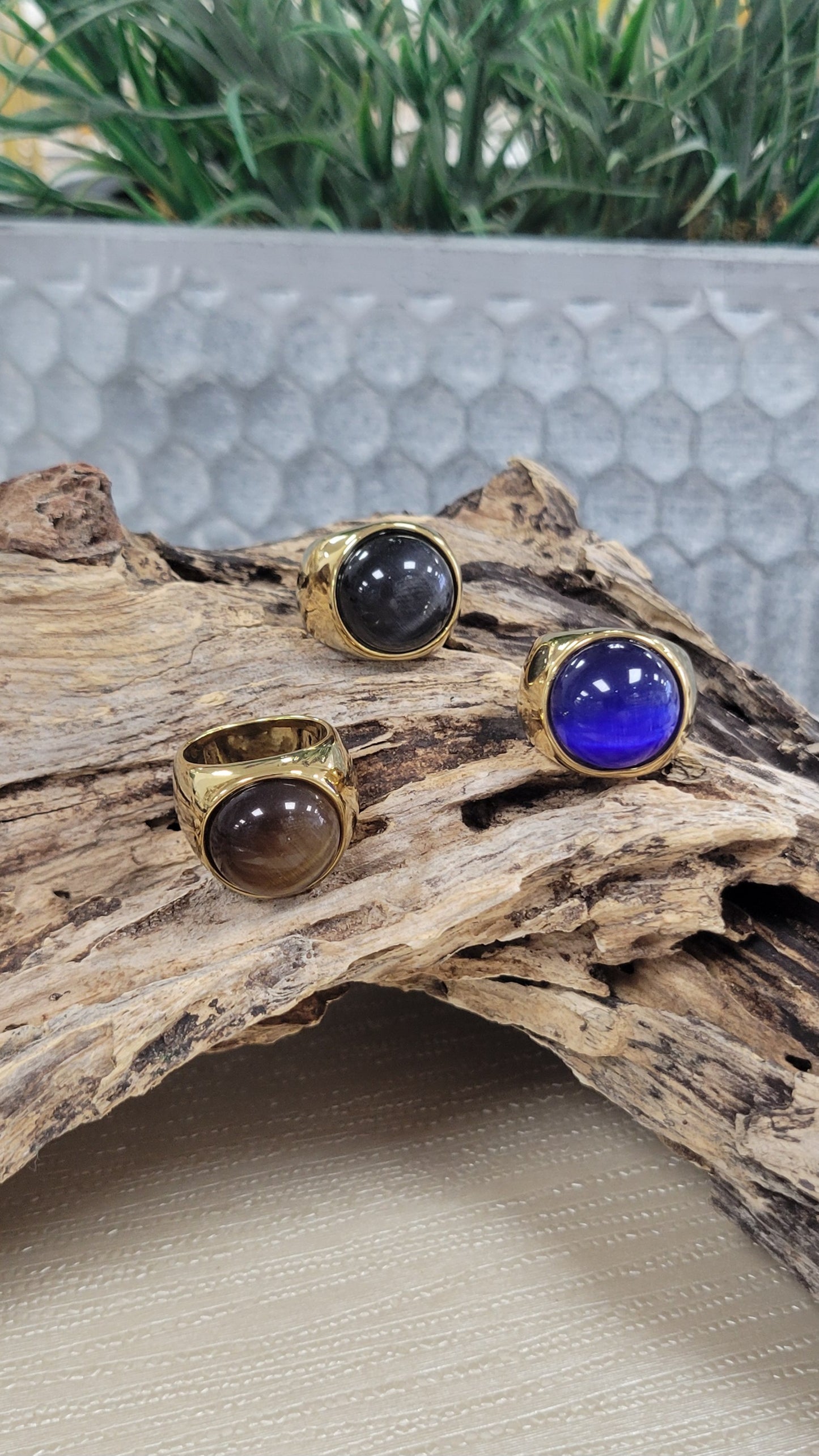 Circle Black Gold Ring