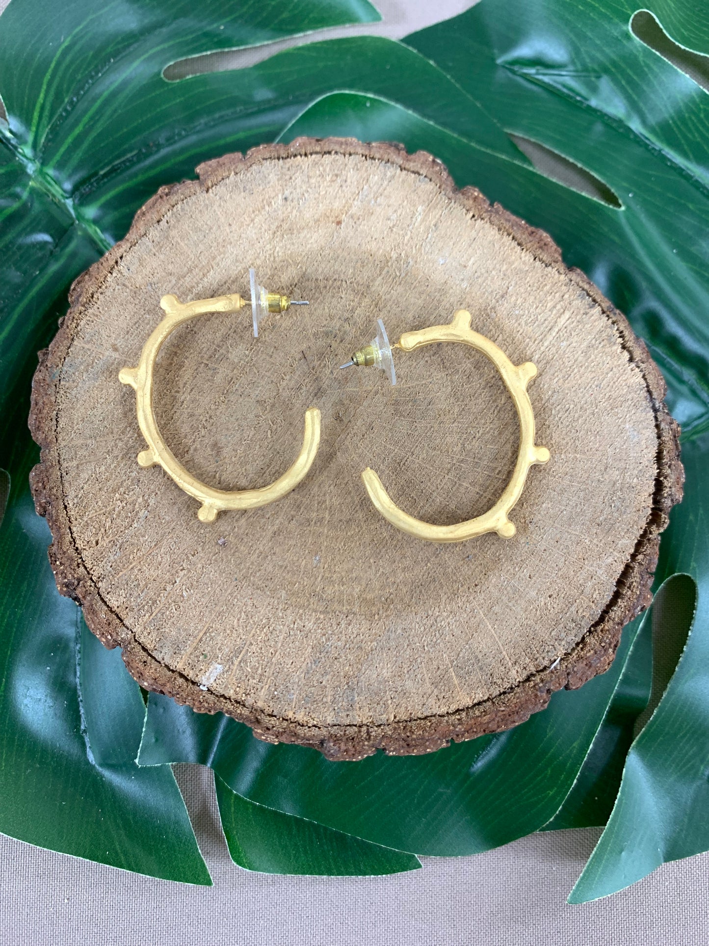 Hoops Matte Gold Earrings