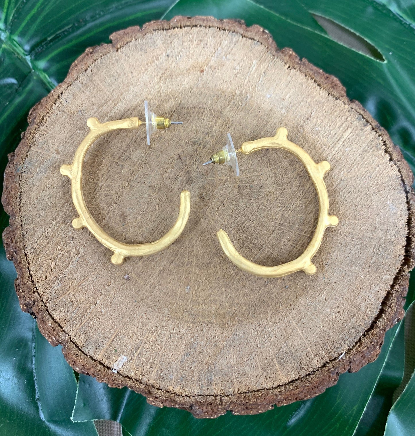 Hoops Matte Gold Earrings