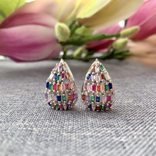 Plain Drop Multicolors Silver Earrings